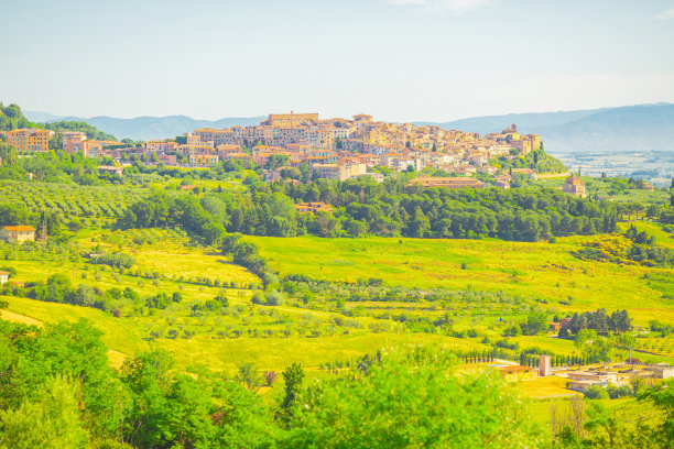 意大利的田野。农场。夏天图片下载
