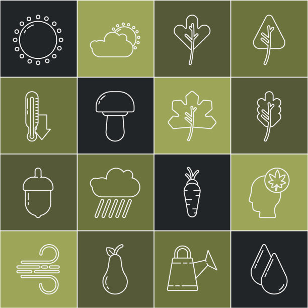 设置线水滴，带叶子的人头，叶子或叶子，蘑菇，气象温度计，太阳和图标。向量图片下载