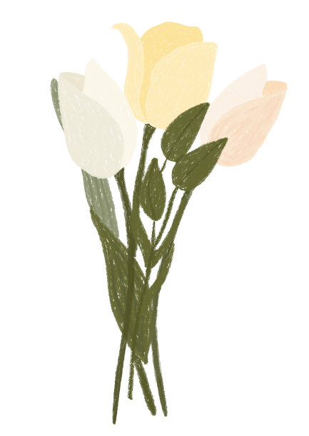 郁金香花束卡片，文具，邀请，墙壁艺术图片下载