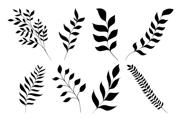 一套手绘剪影的茎与叶，草药，草和树枝。树艺设计。图片下载