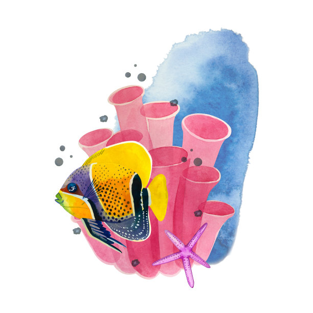 白色背景上的水彩构图。一只雄伟的黄蓝色天使鱼，背景是粉红色的珊瑚、海星和蓝色的水花和斑点。适合印制在明信片、请柬上图片下载