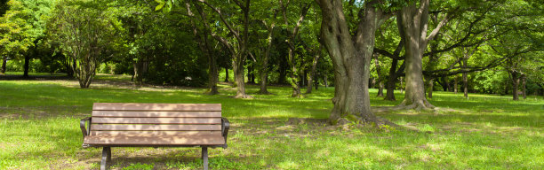 公园长凳的横幅图像图片下载