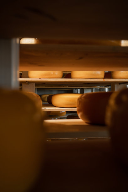 意大利硬奶酪放在又冷又暗的地窖或奶酪仓库的架子上。图片下载