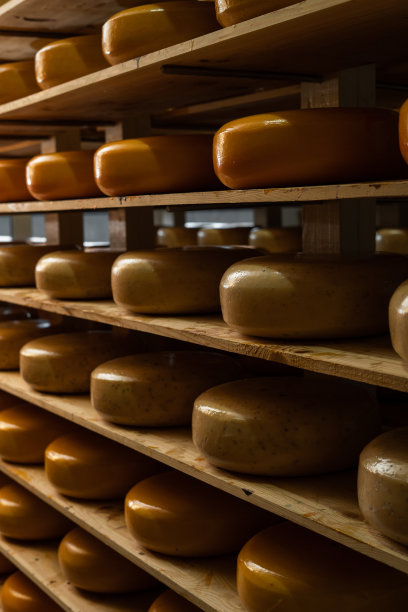 奶酪头在工厂仓库的架子上成熟。货架上有许多荷兰奶酪。图片下载