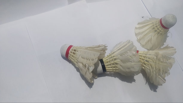 羽毛球:白色背景上的羽毛球或羽毛球的集合图片下载