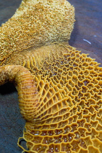 一道美味的中国菜，红烧牛肚，卤味图片下载