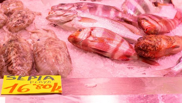 西班牙巴伦西亚的Mercado Central(中央市场)的海滩墨鱼市场图片下载