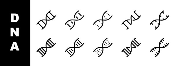 DNA图标集，细线图标，可编辑的笔画图片下载