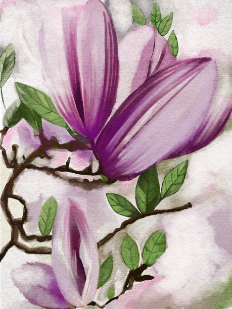 木兰树的花的插图，第一朵花在地球上开放。图片下载