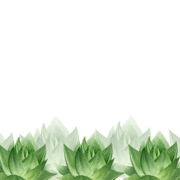 芦荟植物。植物性多肉芦荟。芦荟框架。水彩插图，手绘。孤立在白色背景上。用于包装化妆品、明信片、吊牌图片下载