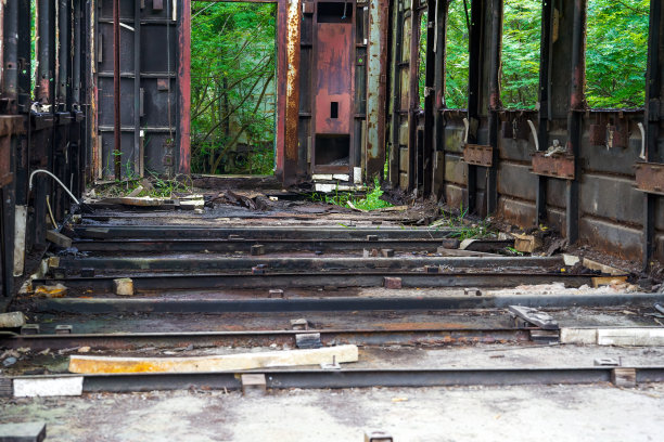 一批生锈的火车车厢被遗弃在森林里图片下载