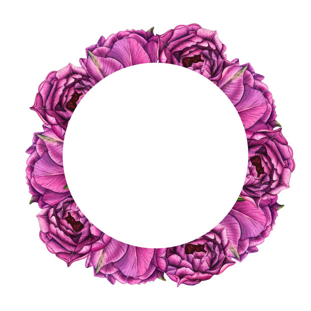 花圈。手绘水彩框架与紫罗兰郁金香在白色的背景。春季花卉植物插图隔离贺卡，婚礼邀请，生日和母亲节贺卡图片下载