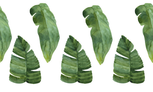 夏威夷无缝图案与热带树叶。横向插图，边框。手绘水彩画。外来植物的夏季植物插图。卡片、请柬、纺织品、包装图片下载