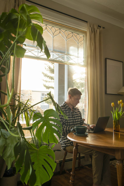 小企业主一大早坐在客厅里用笔记本电脑清点存货图片下载