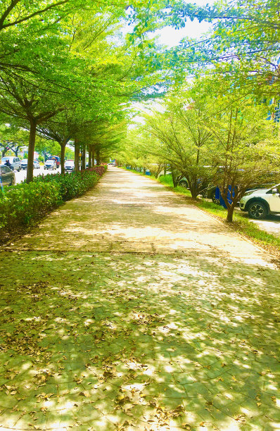 城市人行道图片下载