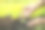 妇女们的手正在把幼苗种在花园里的地里。树木在大自然中生长，美丽的晨光。新鲜的青苗。爱世界的观念。图片下载