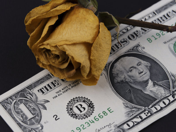 1美元纸币和黄玫瑰图片下载