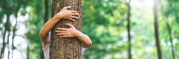 人类的手在森林里拥抱和触摸树木。人们保护森林免受砍伐和污染或气候变化的影响。环境生态和地球日的概念图片下载