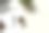 一杯咖啡，笔记本电脑，空白记事本和白色办公桌上的盆栽。俯视图与模糊的空间。图片下载