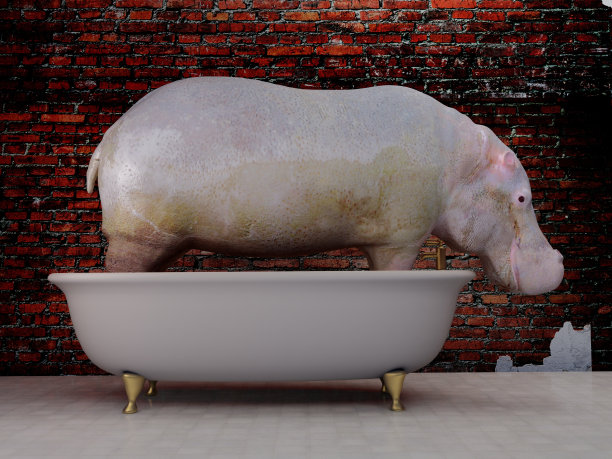 动物剪影图片下载