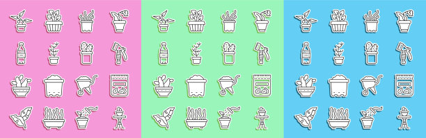 在桌子上的花盆里放满种子图片下载