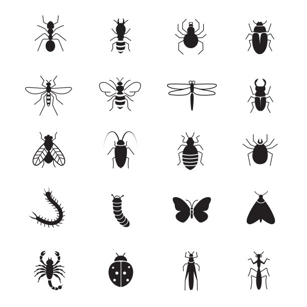 昆虫的图标图片下载