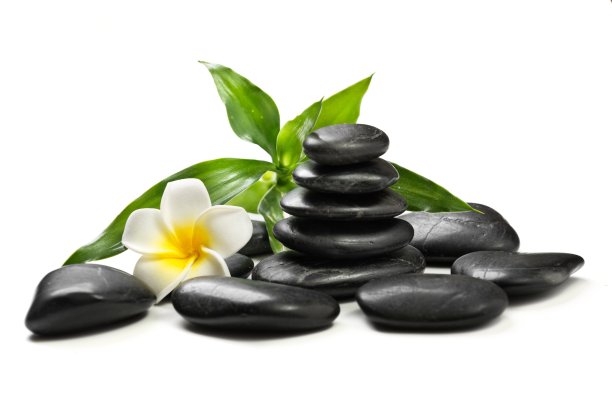 石头上的竹和鸡蛋花上的白图片下载