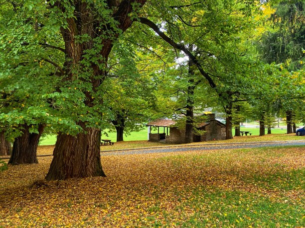 秋天树下的石屋图片下载