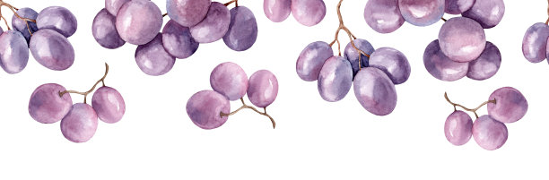 无缝水平边界与葡萄图片下载