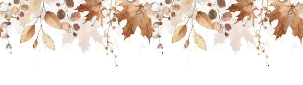 水彩无缝边框白色背景。橙色和黄色的秋天野花，树枝，枫叶和小树枝图片下载