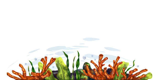 由热带鱼、珊瑚、藻类、石头制成的水平海洋框架。海底世界，白色背景上的数字插图。用于设计、包装、海报、明信片、纺织品纪念品图片下载