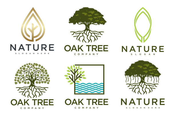 树标志图标集设计。园林植物自然符号模板。矢量插图。图片下载