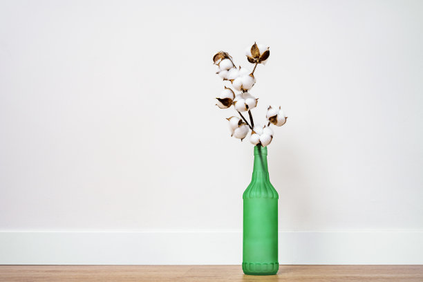 室内装饰用绿色的瓶子和棕色地面上的棉花树枝图片下载