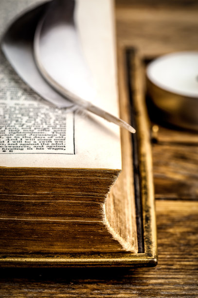 旧圣经上的鸟羽毛图片下载