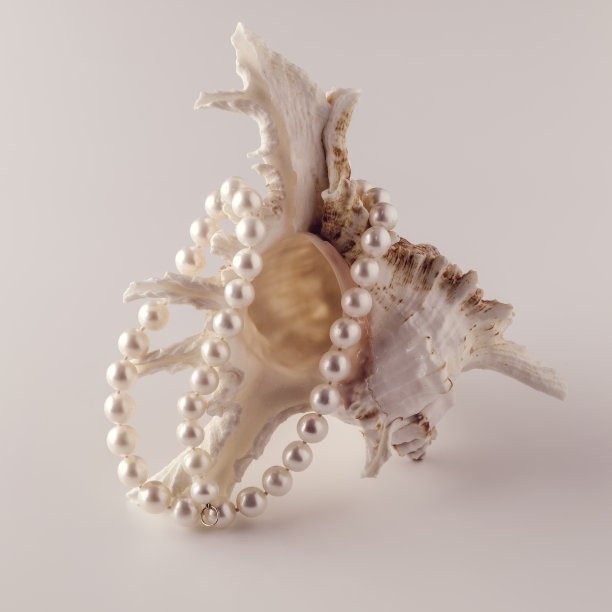 贝壳上的美丽珍珠图片下载