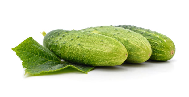 有叶子的绿黄瓜。图片下载