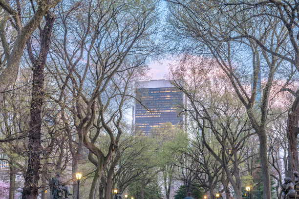 纽约中央公园春暖花开图片下载