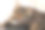 两只猫依偎在家里的白毯子上。可爱的家养条纹友好猫。两只昏昏欲睡的小猫舒服地洗澡。猫咪夫妇在一起休息。快乐的虎斑猫美丽的宠物在爱的拥抱图片下载