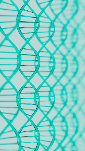 组绿色的DNA上浅绿色的风景，进化和遗传学的主题，3d插图图片下载