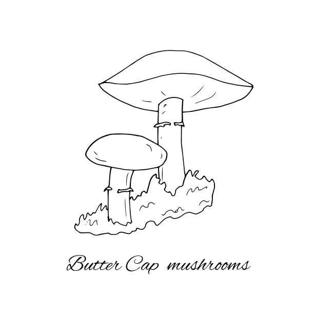 手绘黄油帽蘑菇图片下载