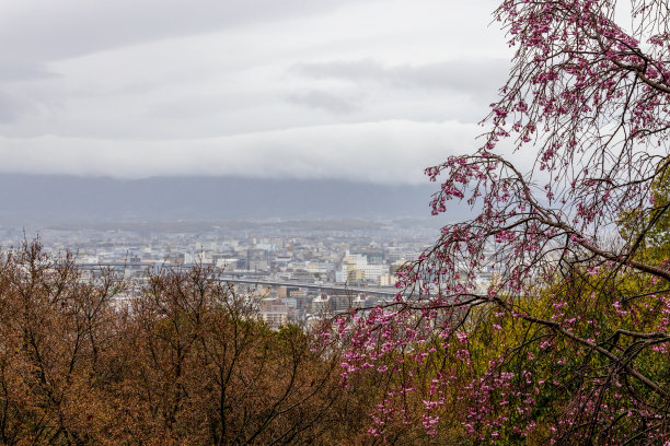 京都鸟瞰图图片下载