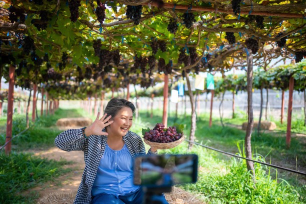 农民们通过手机直播在线展示农产品和销售葡萄。图片下载