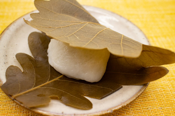 陶瓷盘子上的日本传统甜点“川菜麻糬”图片下载