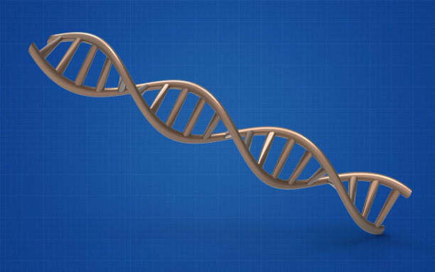 分离DNA结构的生物化学概念。图片下载