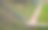 户外球类运动场地。在楼梯形状的混凝土论坛上，高高的栅栏保护着观众。我们观看比赛的两栖动物图片下载