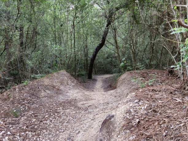 山地自行车道图片下载