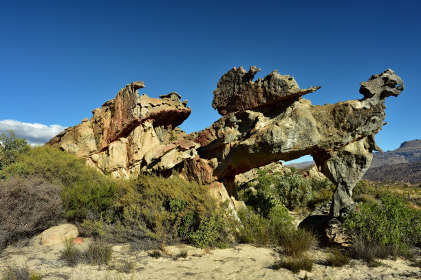 这是西开普省塞德堡山脉的一块岩石，经过数百万年的风和水的雕琢，看起来像一条龙图片下载
