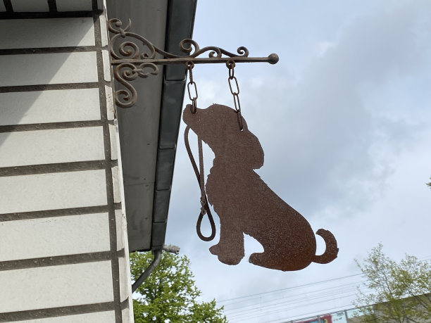 入口处有一只可爱的狗图片下载