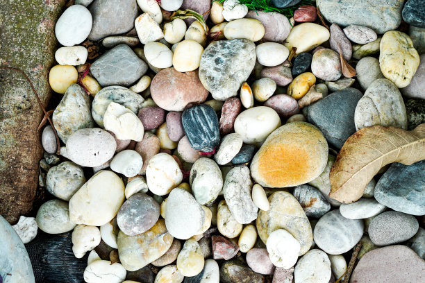 一张特写照片显示了用来装饰后院植物的彩色鹅卵石和岩石。图片下载