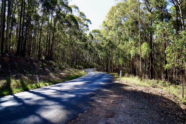 通往新南威尔士州贝尔马吉的含羞草岩的道路图片下载